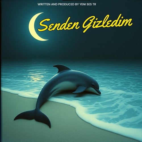 Senden Gizledim