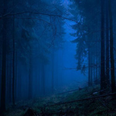 follow you (pretty pixie)