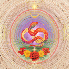 SNAKE MEDICINE ☉ Sundance Ecstatic Dance