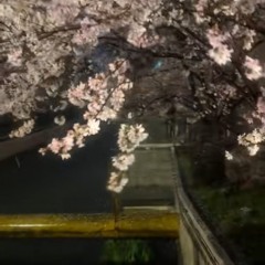 HITONU ( prod. GELUCII )