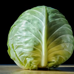 Cabbage