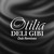 Artwork for Deli Gibi (Alex Spite Dub Remix)