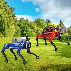 Courtesy Of Choice w/ Sacha Mambo: 26th November '25