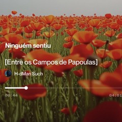 entre-os-campos-de-papoulas]