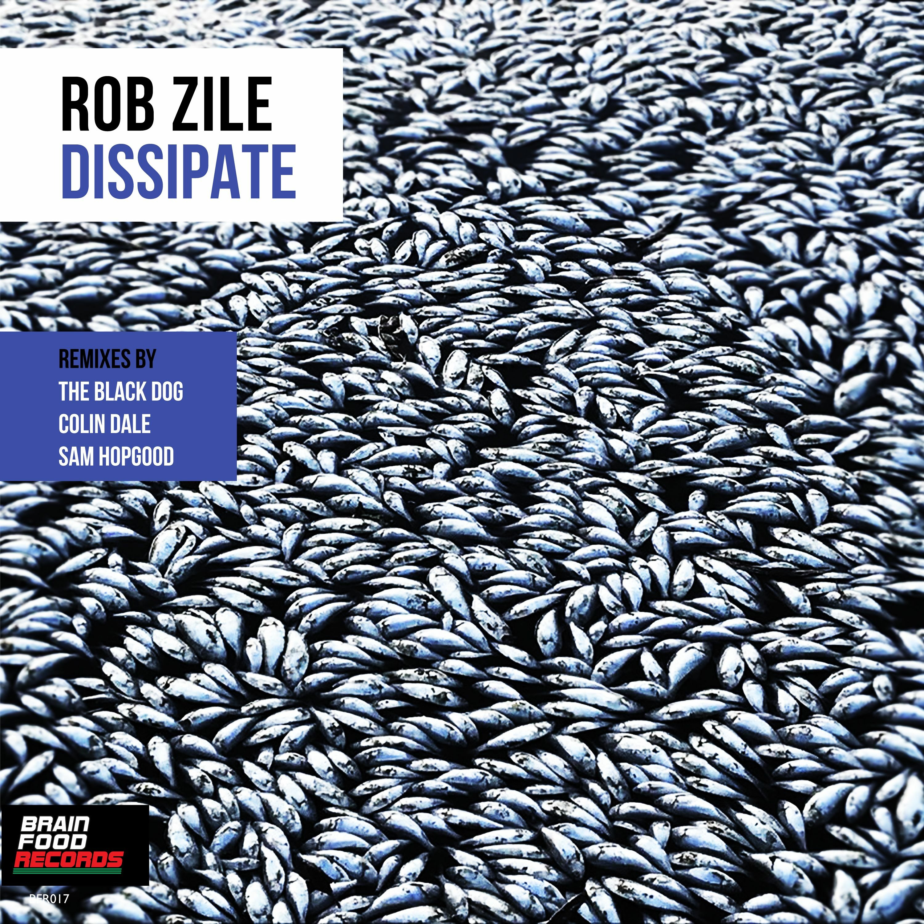 Brain Food Radio - Hosted by Rob Zile - KissFM