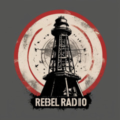 A.P.A.B (All Politicians Are Bastards) Rebel Radio Burn Borders down