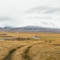 Field Journal Companion - Spring 2023