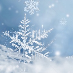 yuki-no-memory (ユキノメモリー)