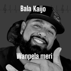 Wanpela meri