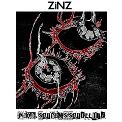 ZiNZ [PROD. SATURNSSATELLiTE]
