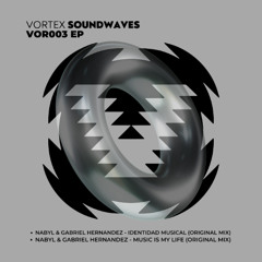 Identidad Musical (Original Mix)