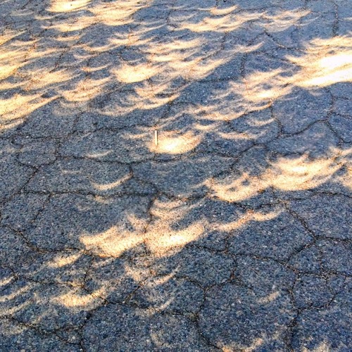 Your Shadow Goes Fading Away