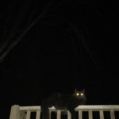 Warda - Hekayty Maa El Zaman