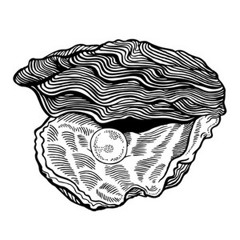 Kalahari Oyster Cult