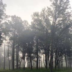 Hoping (Prod.By JustDan)