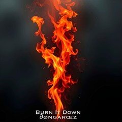 Burn It Down