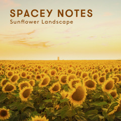 Sunflower Landscape