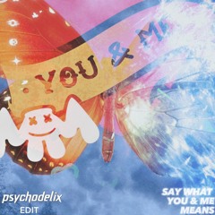 MARSHMELLO x ROY KNOX x SADBOIS x AFTERXHEAVEN - SAY WHAT YOU & ME MEANS