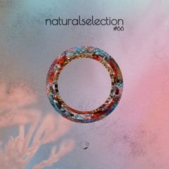 Episodio 66 - Natural Selection