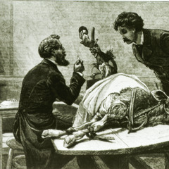 san diego saarbrücken 'stallis starnberger