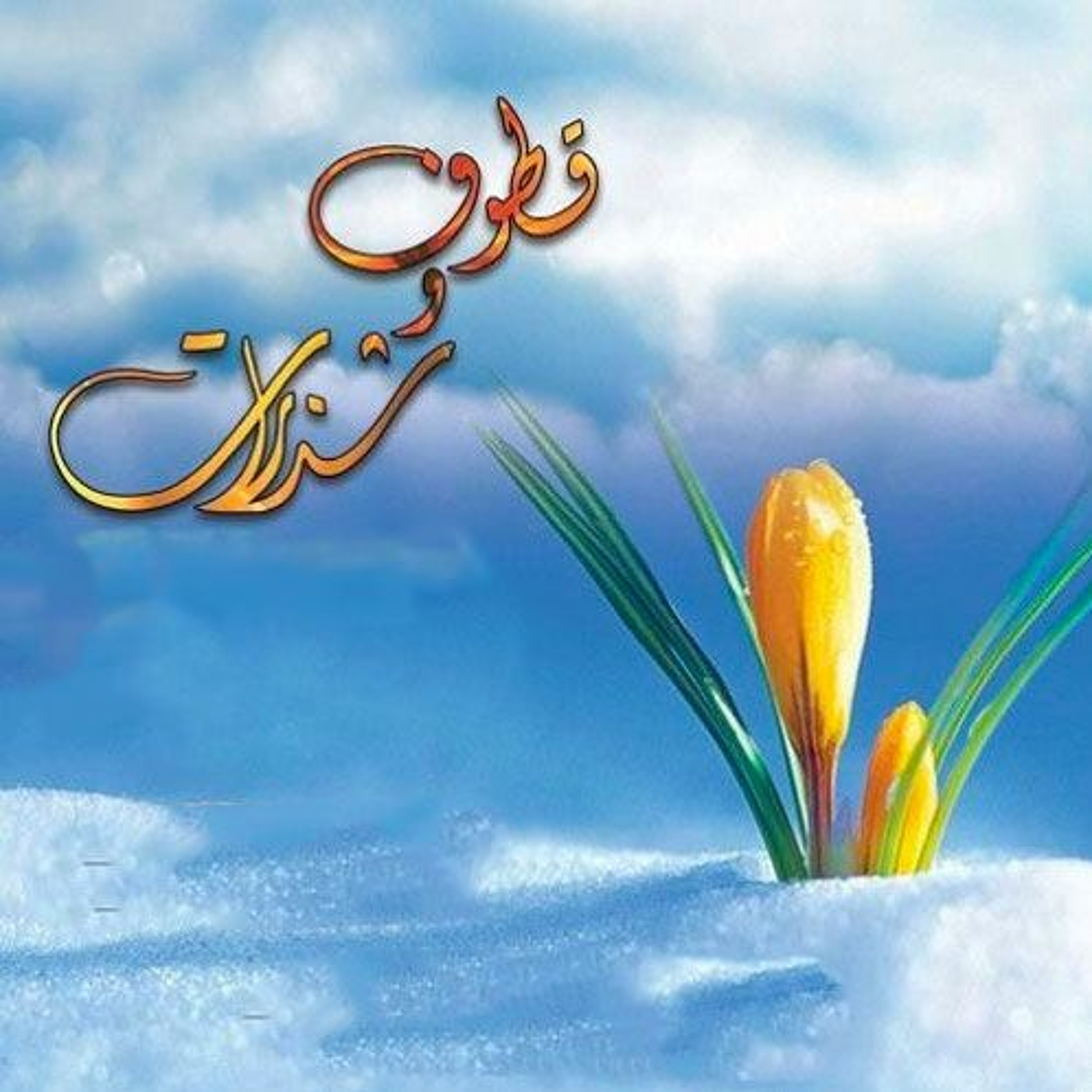 رمضان مضيت على عجل | ديوان قطوف