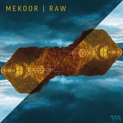Melodic House & Techno | feel the groove