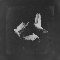 Bedouin- Tomorrow Never Knows ( Edit)