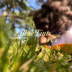 Blue Tints 2 Prod. by Donnie Katana x MBWAV