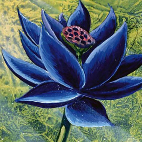 Black Lotus (Where magic shall live on)