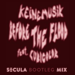 Before The Flood (Secula Bootleg Mix)