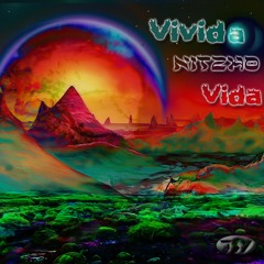 Nitzhogoa Live Mix: Vivida Nitzho Vida