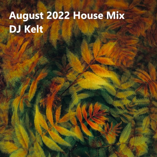 August 2022 House Mix with Playlist