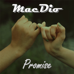 Promise (Extended Version)