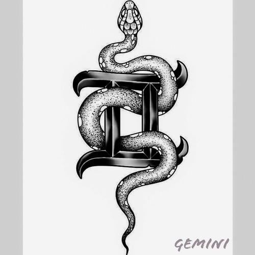 The Gemini Mind