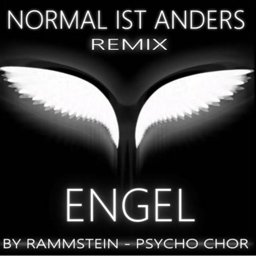 Rammstein - Engel (Hard Techno Remix by NIA & Psycho Chor)