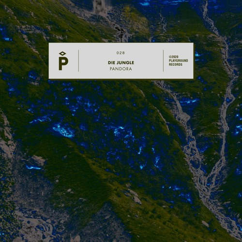 PRÈMIÉRE: Die Jungle - Saudade [Playground Records]
