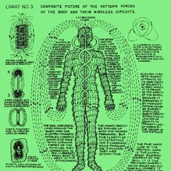 The New Neurofunkadelic