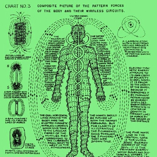 The New Neurofunkadelic