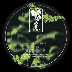 Premiere: Sailor Juul Vs DJ Lily - Hynda [LILIES8]