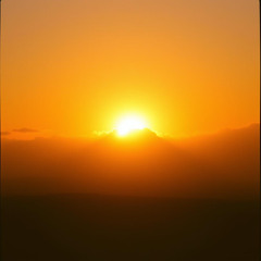 Sunlight in My Mind