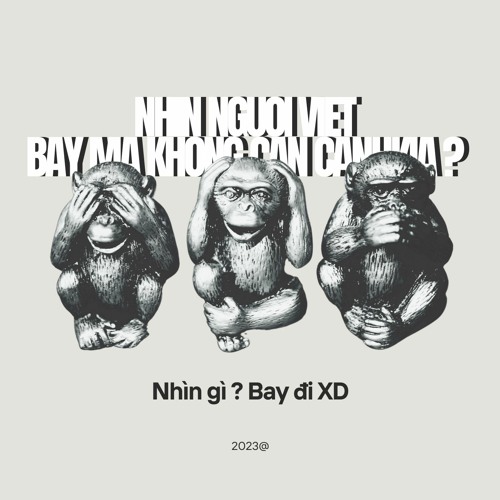 Nhin Nguoi Viet Bay Ma Khong Can Canh Kia