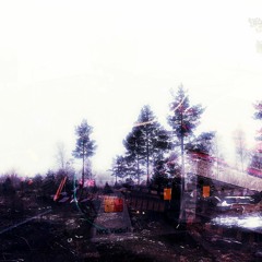 Oränge Tree - FLY. TEST. REMIX