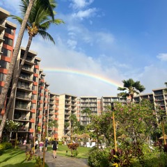 First Impressions of Maui post-wildfire and A Promise of More To Come -Helen Hayes