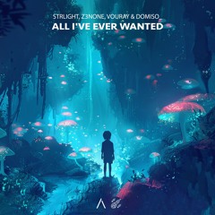 STRlighT, Z3NONE, VouRay & domiso_ - All I've Ever Wanted