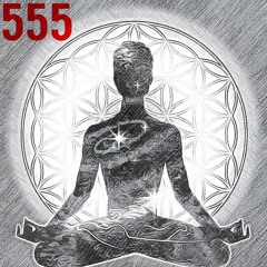 555