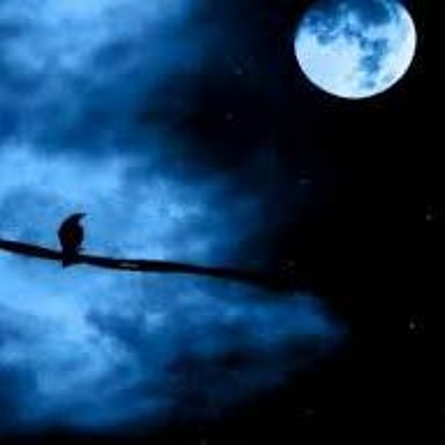 Apogee and Perigee