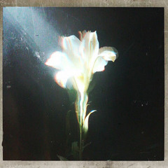 Light That Leads Me - Netsky, Bebe Rexha