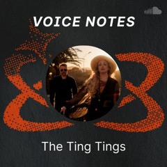 Voice Notes: The Ting Tings "Down"