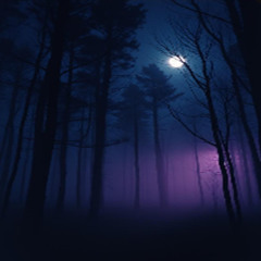 Midnight Eternal