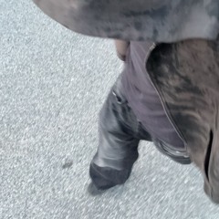 ok (feat. RudeBoyJ) [prod. evilqwik & ok]